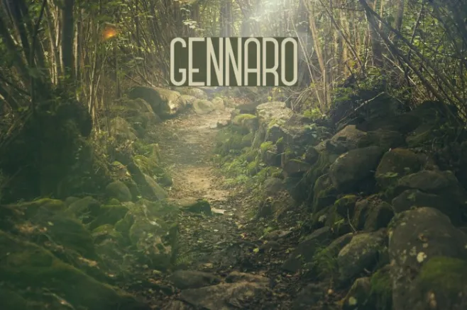 GENNARO Example 1