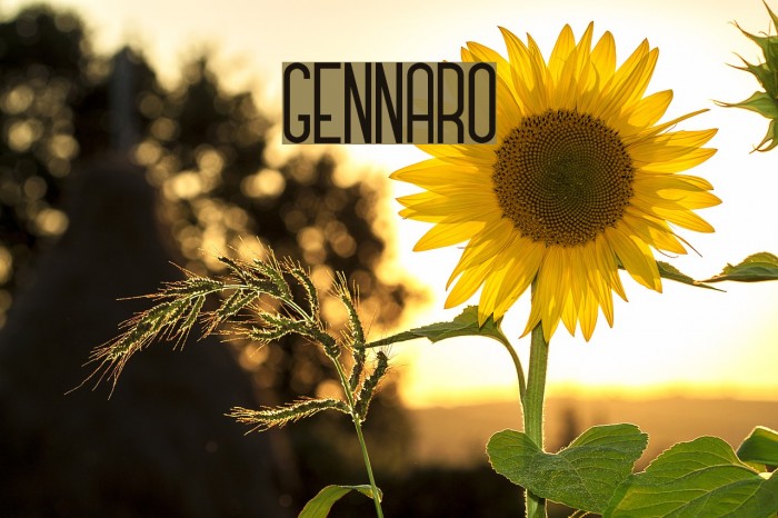 GENNARO Font examples