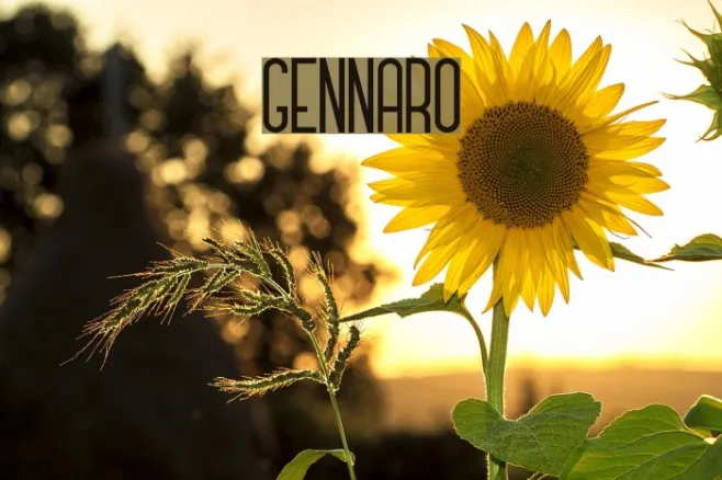 GENNARO Example 2