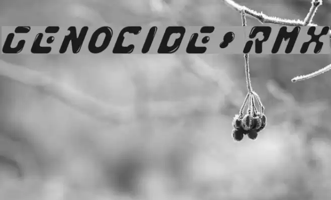 GENOCIDE_RMX Font examples