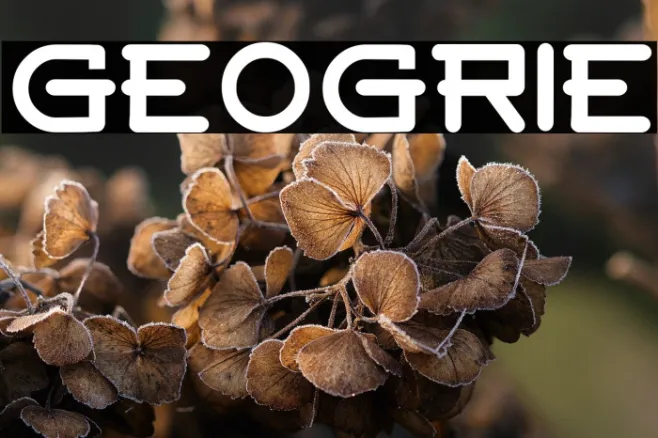 GEOGRIE Example 1
