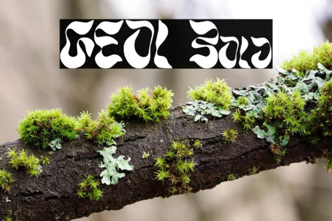 GEOL Bold Example 3
