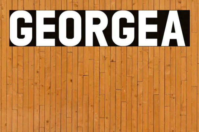 GEORGEA Example 1
