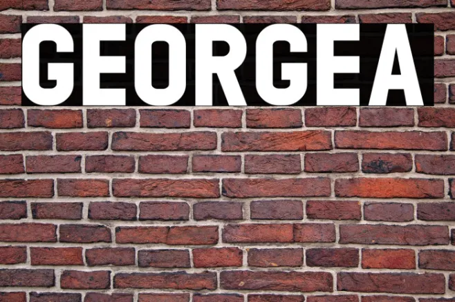 GEORGEA Example 3