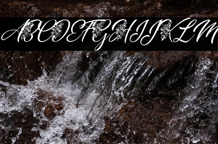 GERALDINE PERSONAL USE Italic Example 1