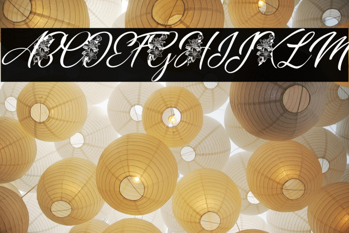 GERALDINE PERSONAL USE Italic Example 2