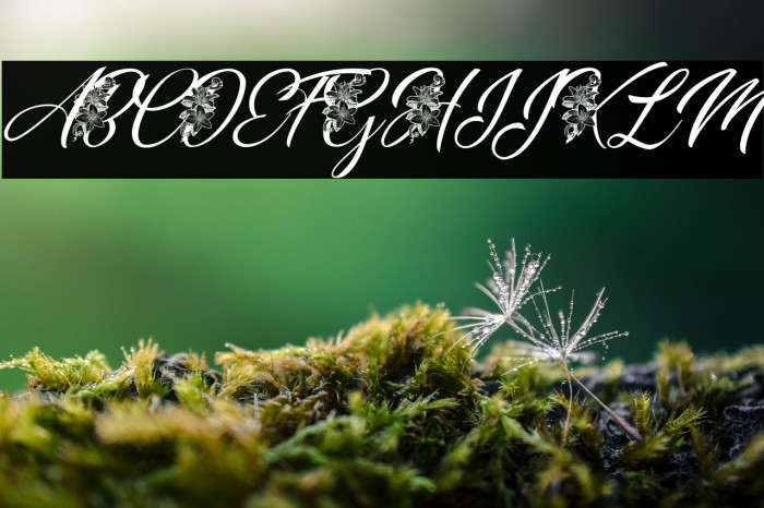 GERALDINE PERSONAL USE Italic Example 3