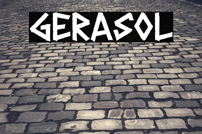 GERASOL Example 1