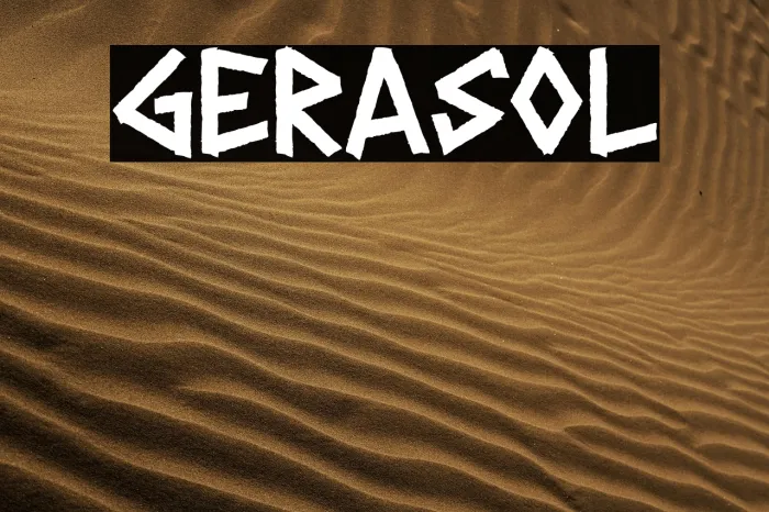GERASOL Example 2