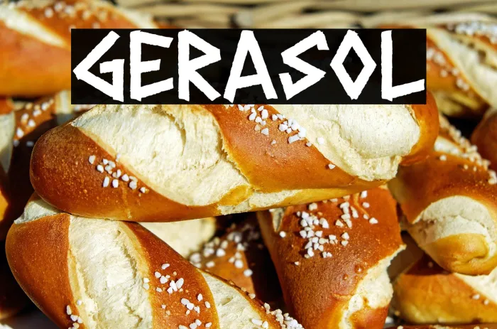 GERASOL Example 3