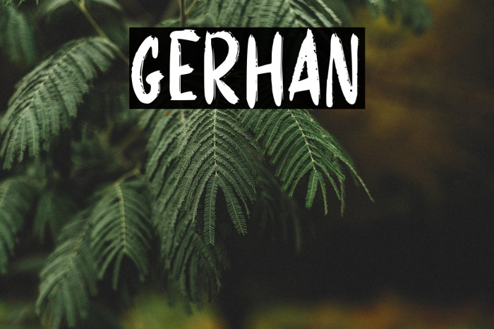 GERHAN Example 2