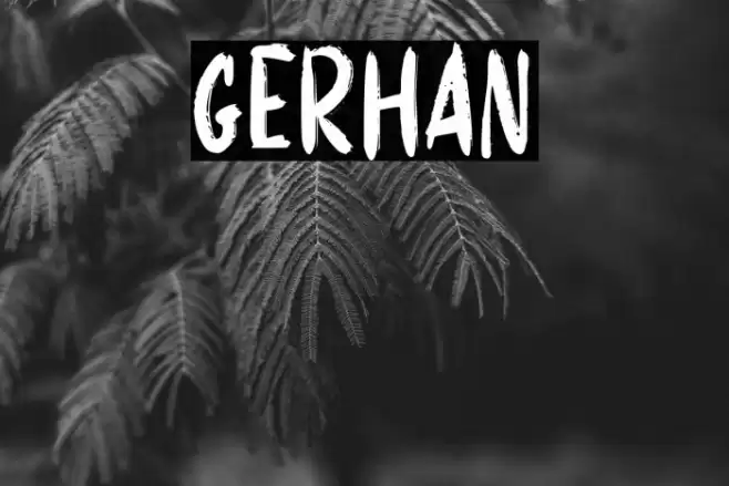 GERHAN Font examples