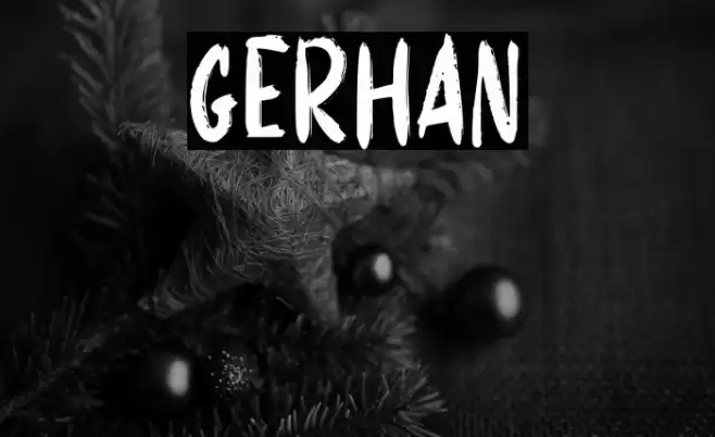 GERHAN Font examples