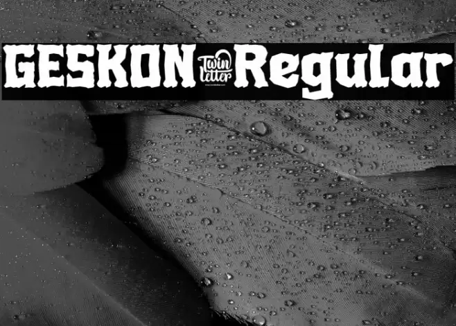 GESKON-Regular Font examples