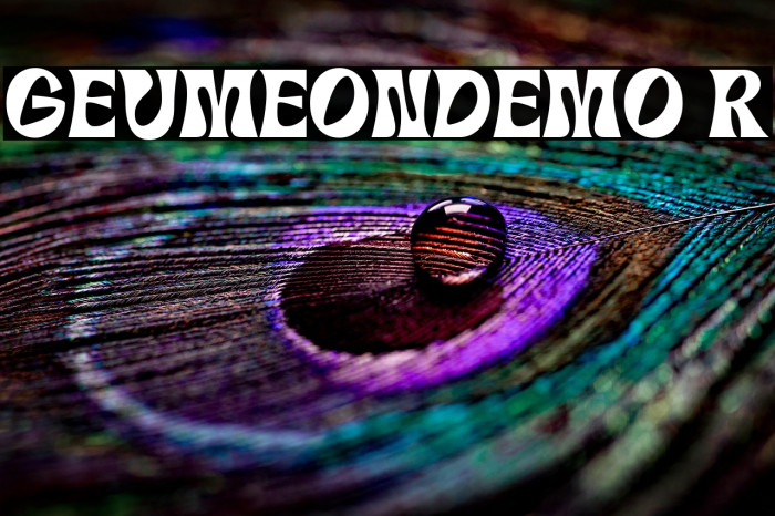 GEUMEON-DEMO Regular Example 1