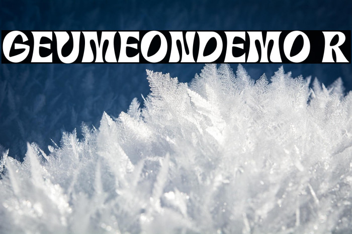 GEUMEON-DEMO Regular Example 3