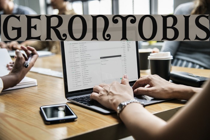 GErontoBis Font examples