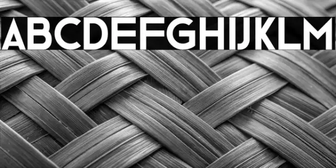 Ge Body Font examples