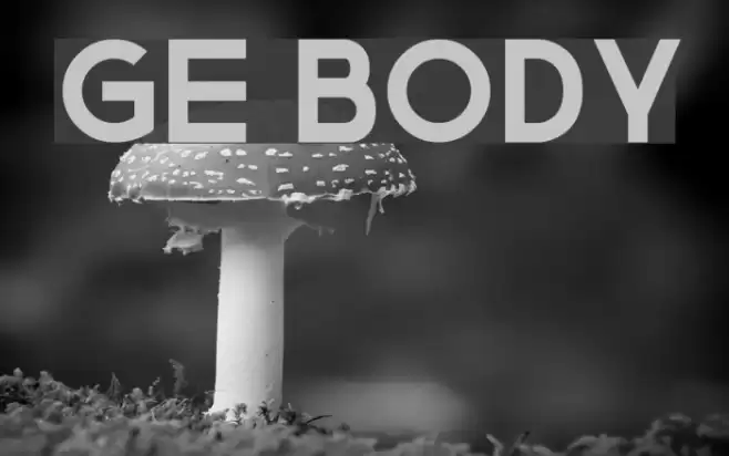 Ge Body Font examples