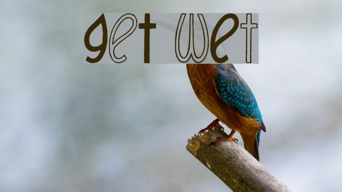 GeT wEt フォント examples