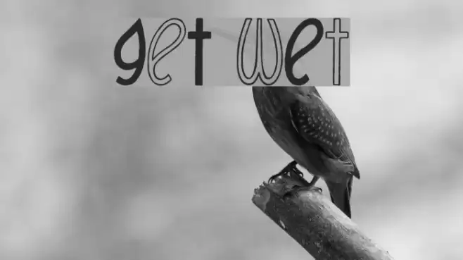 GeT wEt フォント examples