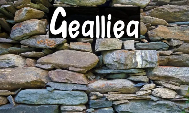 Gealliea Example 1