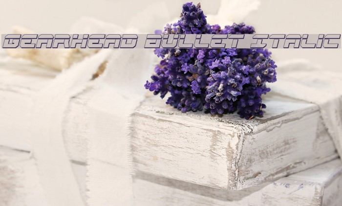 Gearhead Bullet Italic Example 1