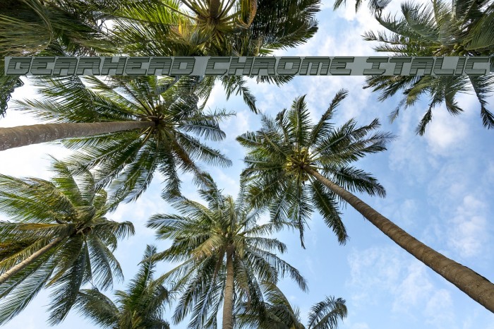 Gearhead Chrome Italic Example 2