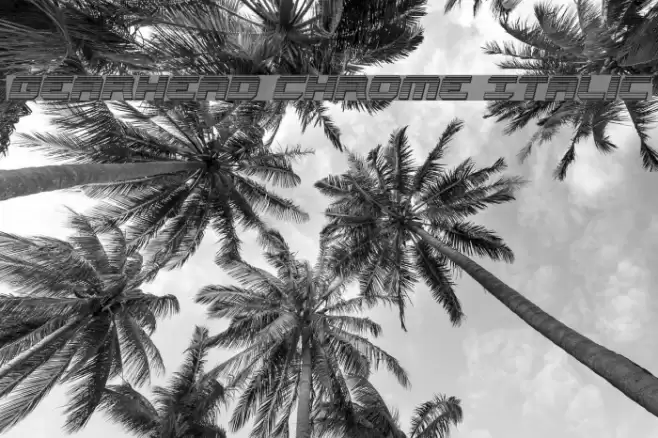 Gearhead Chrome Italic Font examples