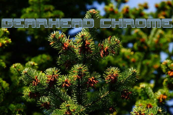Gearhead Chrome Example 1