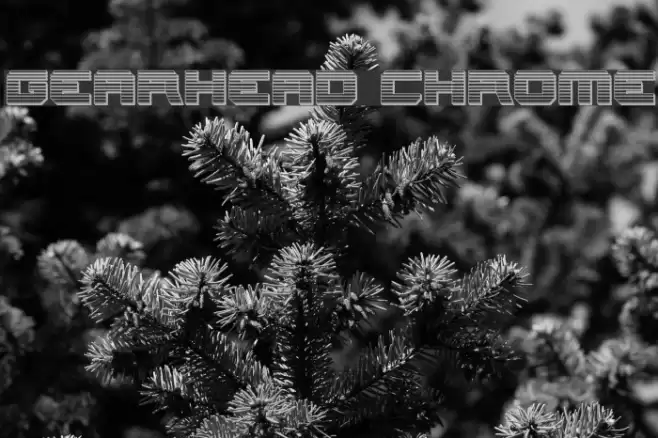 Gearhead Chrome Font examples