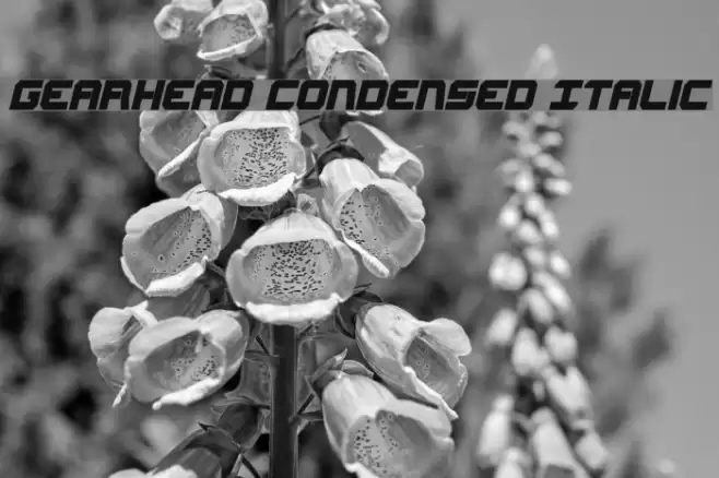 Gearhead Condensed Italic Font examples