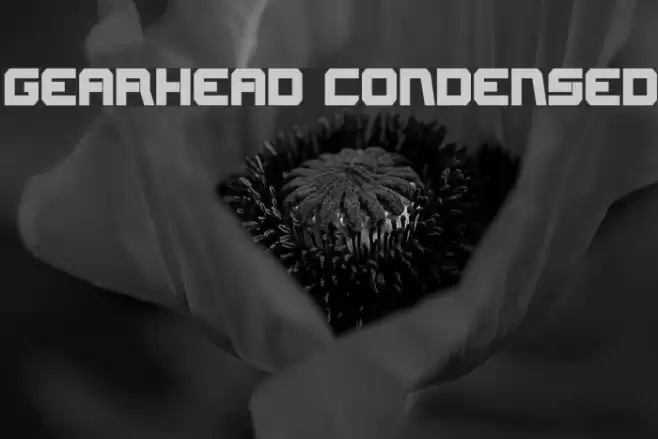 Gearhead Condensed Font examples