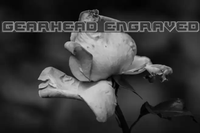 Gearhead Engraved Font examples