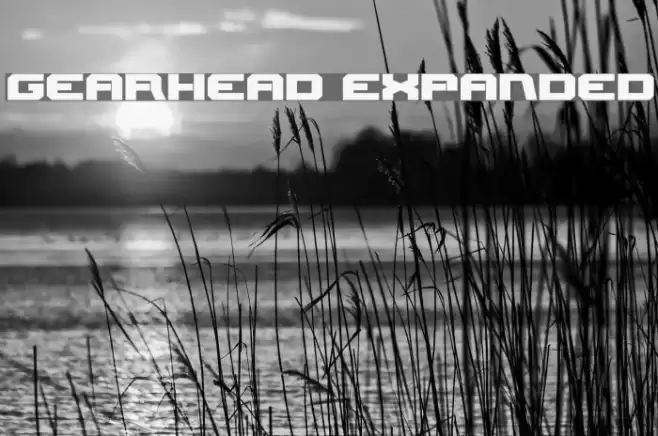 Gearhead Expanded Font examples
