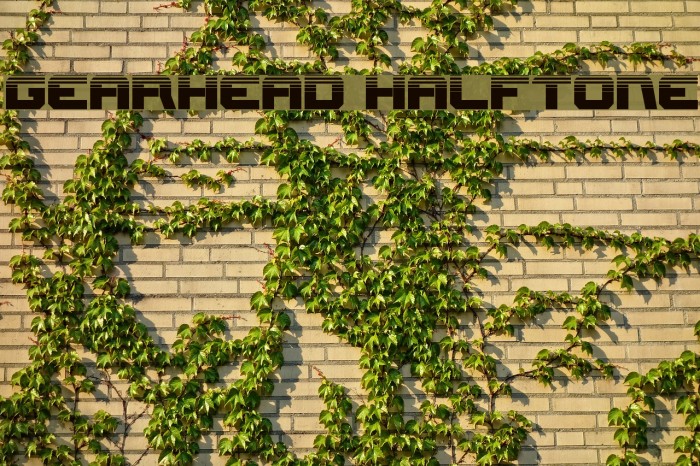 Gearhead Halftone Example 2