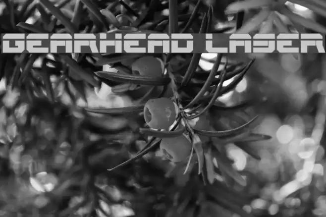 Gearhead Laser Font examples