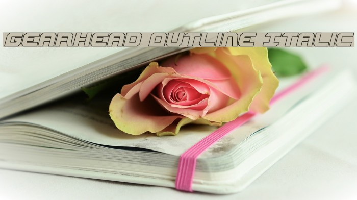 Gearhead Outline Italic Font examples