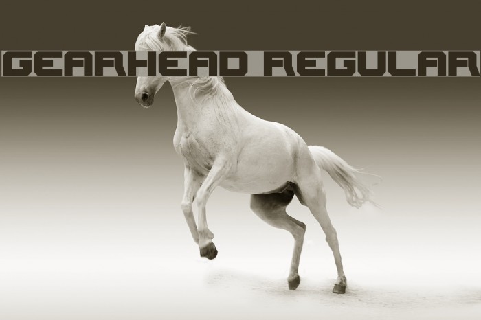 Gearhead Regular Font examples