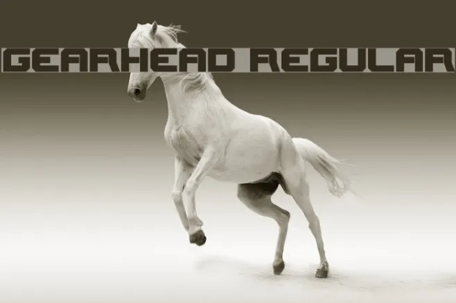 Gearhead Regular Example 2