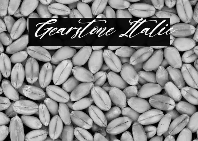 Gearstone Italic Font examples