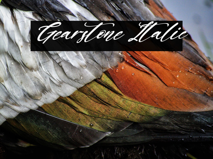 Gearstone Italic Example 3