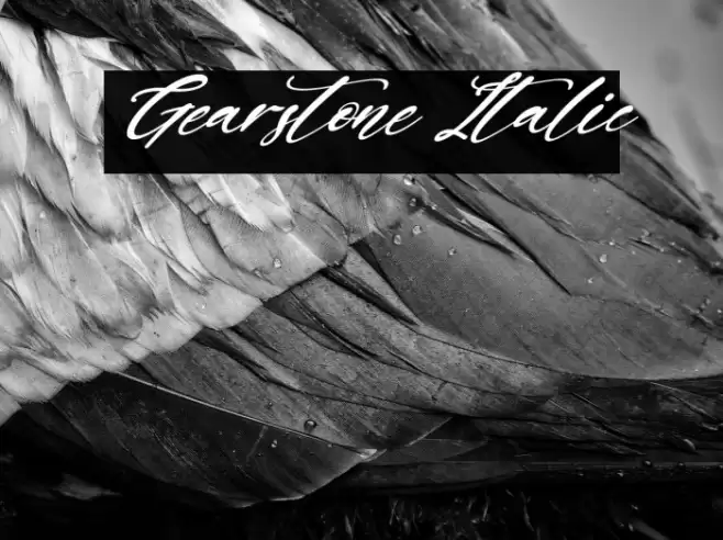 Gearstone Italic Font examples