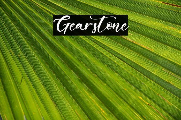 Gearstone Example 2
