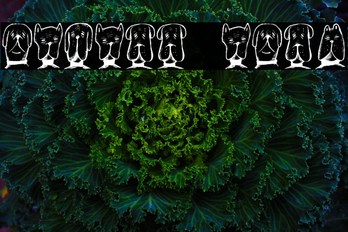 Gebell Regular Font examples