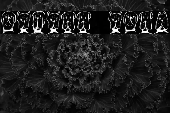 Gebell Regular Font examples