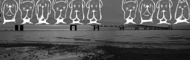 Gebell Regular Font examples