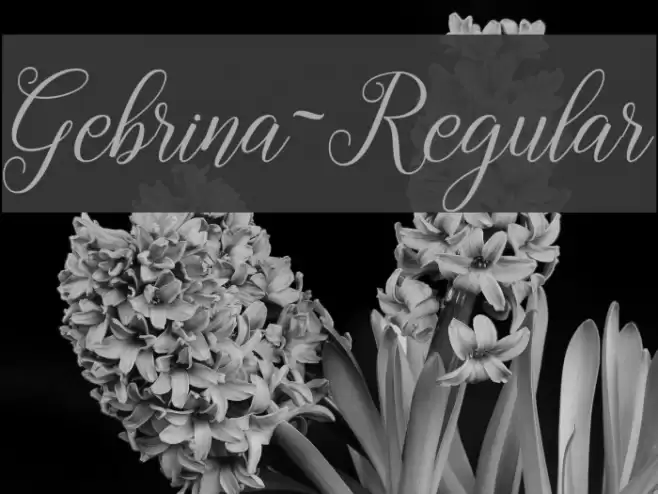 Gebrina-Regular Font examples