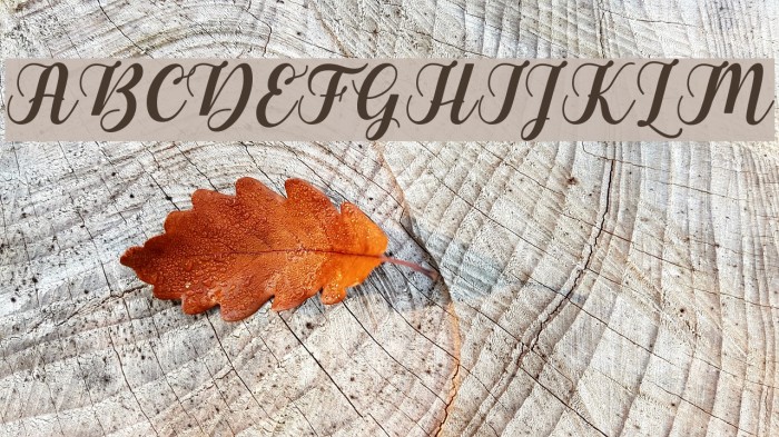 Gebrina Font examples