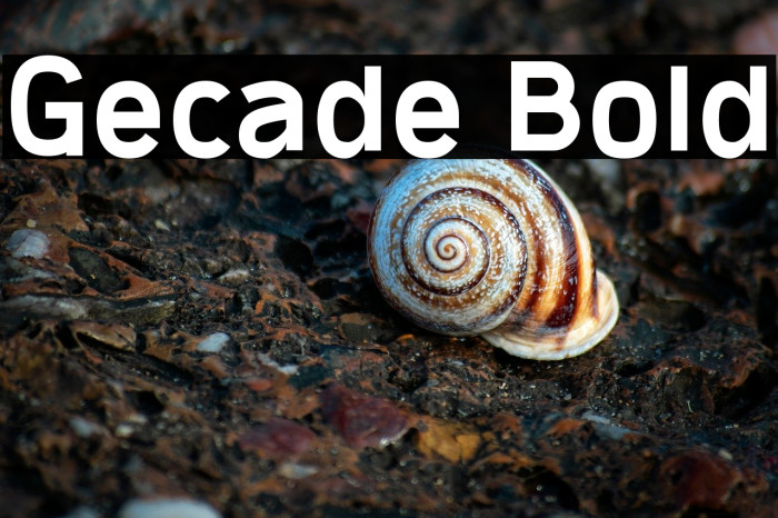 Gecade Bold Example 3